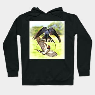 Pairing Swallows Hoodie